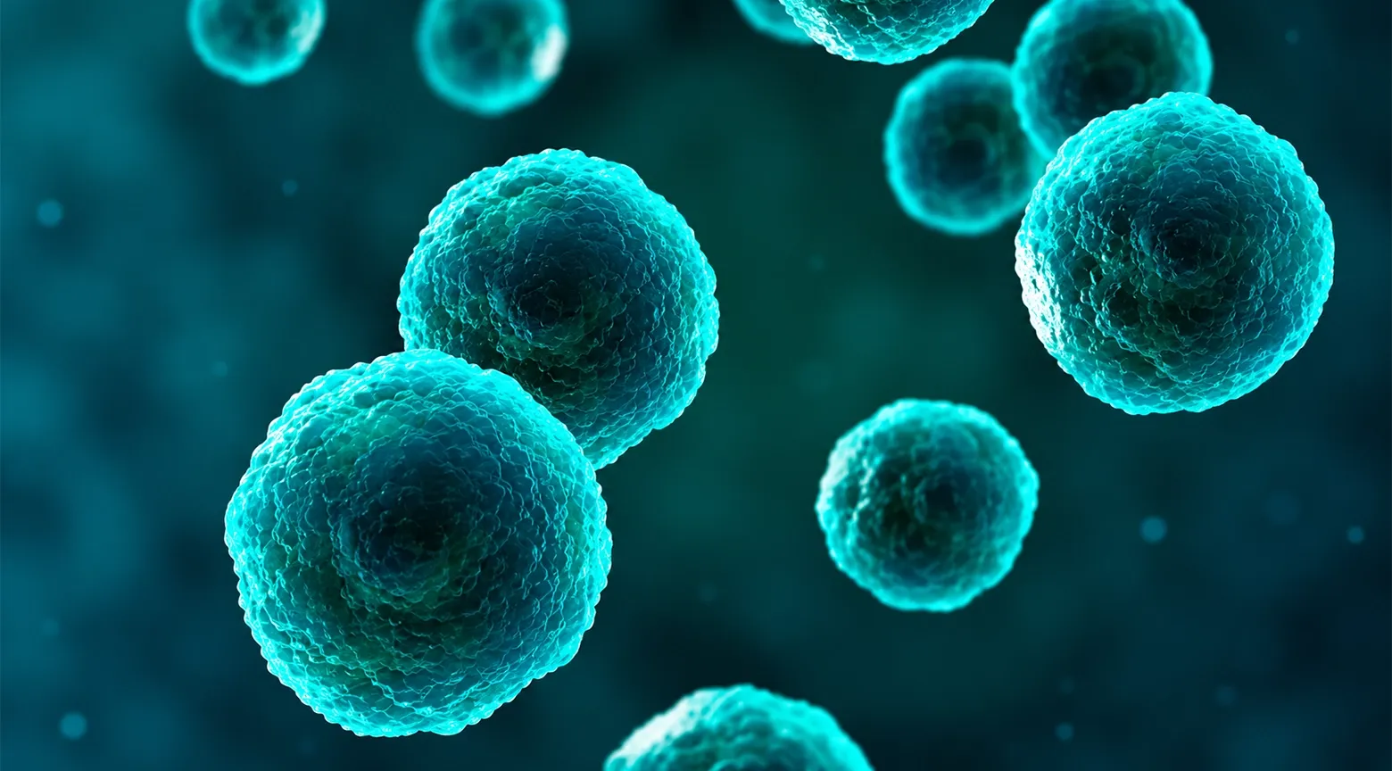 Autoridades sanitarias investigan brote de Cyclospora relacionado con hierbas frescas